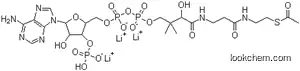 아세틸 코엔자임 A 트리리튬 염