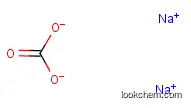 炭酸/ナトリウム,(1:x)