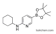 6-(CYCLOHEXYLAMINO)피리딘-3-붕소산 피나콜 에스테르