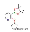 2-(CYCLOPENTYLOXY)피리딘-3-붕소산 피나콜 에스테르