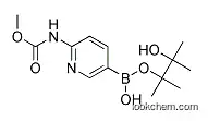 2-메톡시카르보닐라미노피리딘-5-보론산