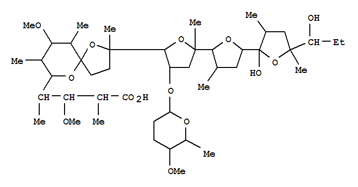 Click to see the large picture