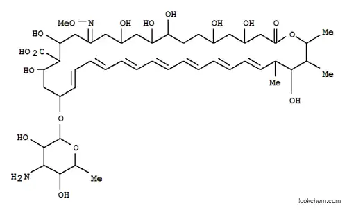 암포테리신 B O-메틸옥심