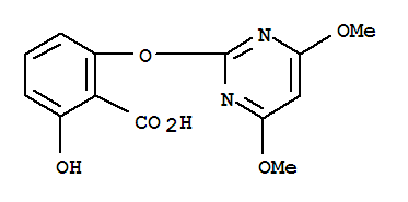 Click to see the large picture