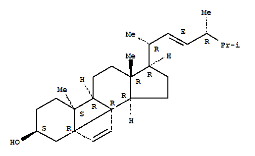 Click to see the large picture