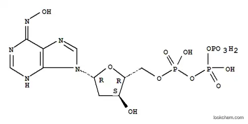 6-N-히드록실아미노퓨린 데옥시뉴클레오시드 삼인산