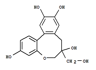 ProtosappaninB
