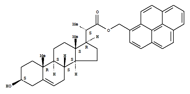 Click to see the large picture