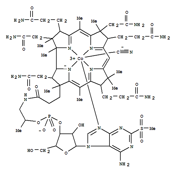 Click to see the large picture