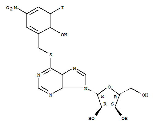 Click to see the large picture