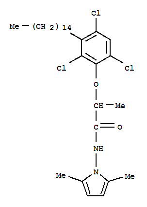 Click to see the large picture