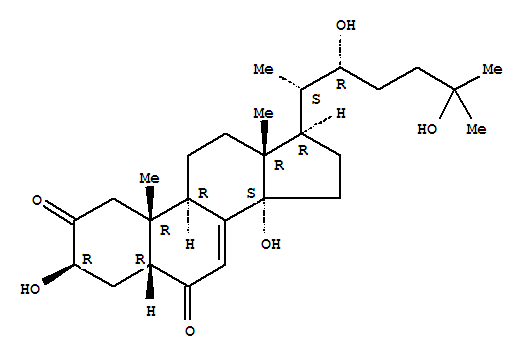 Click to see the large picture