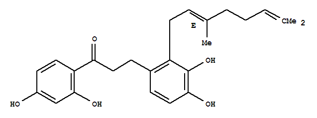 Click to see the large picture