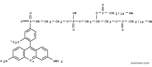 N-(리사민-로다민 B 술포닐)-1,2-디팔미토일포스파티딜에탄올아민
