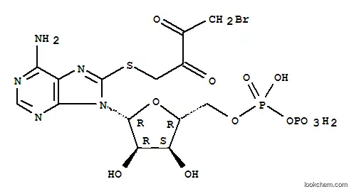 8-((4-브로모-2,3-디옥소부티릴)티오)아데노신 5'디포스페이트