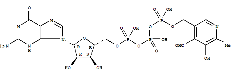 Click to see the large picture