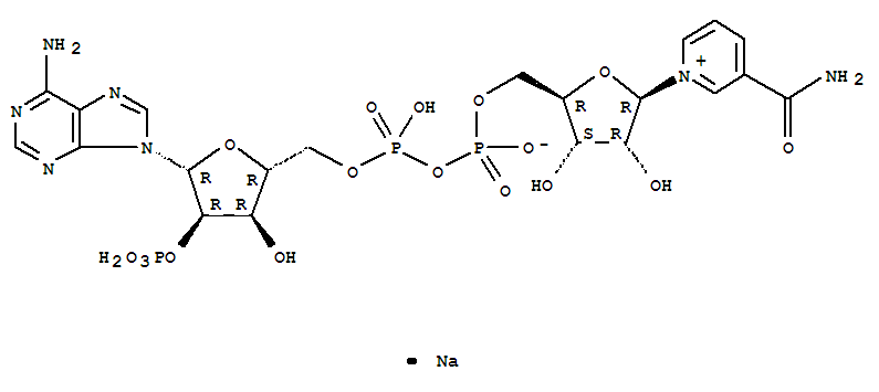 β-NicotinamideAdenineDinuclotidePhosphate;NADP