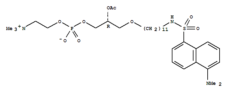 Click to see the large picture