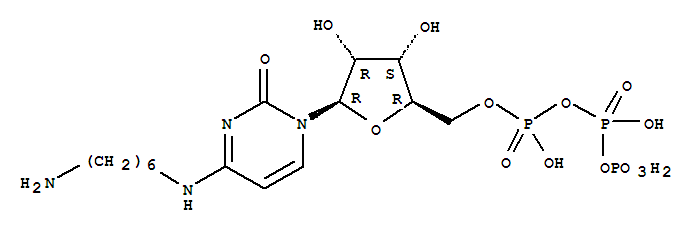 Click to see the large picture