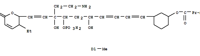 Click to see the large picture