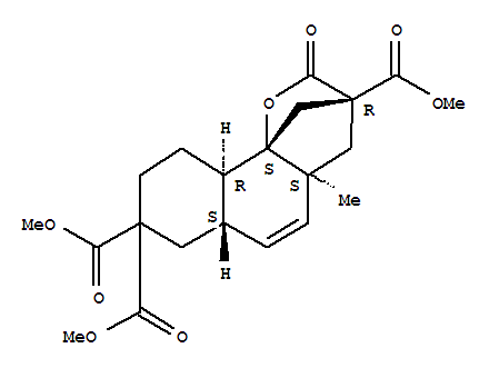 Click to see the large picture