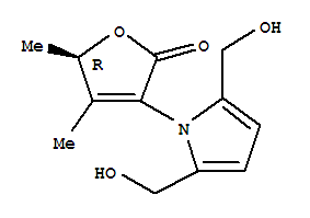 Click to see the large picture