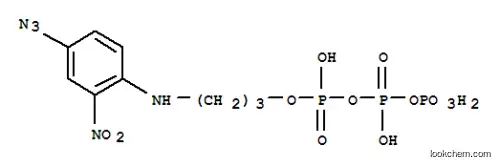 2-((4-아지도-2-니트로페닐)아미노)프로필 트리포스페이트