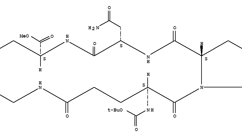 Click to see the large picture