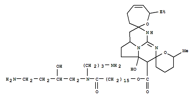 Click to see the large picture