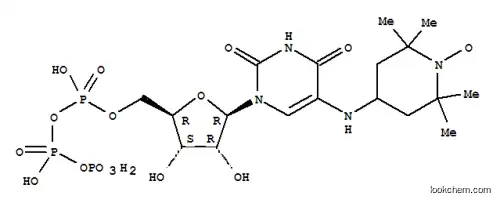 5-아미노-(2,2,6,6-테트라메틸피페리딘-N-옥실)우리딘 5'-트리포스페이트