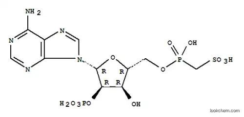 아데노신 2'-포스페이트 5'-메틸렌포스포설페이트