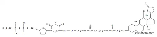 디곡시제닌-11-2',3'-디데옥시우리딘 5'-트리포스페이트