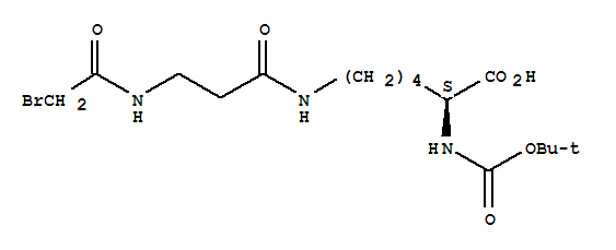 Click to see the large picture