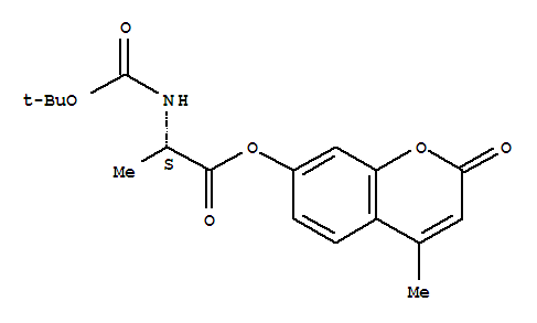 Click to see the large picture