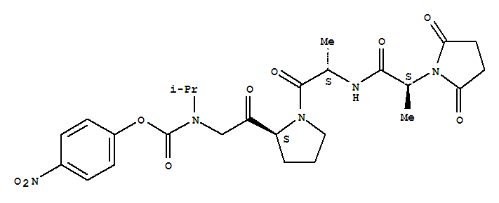 Click to see the large picture