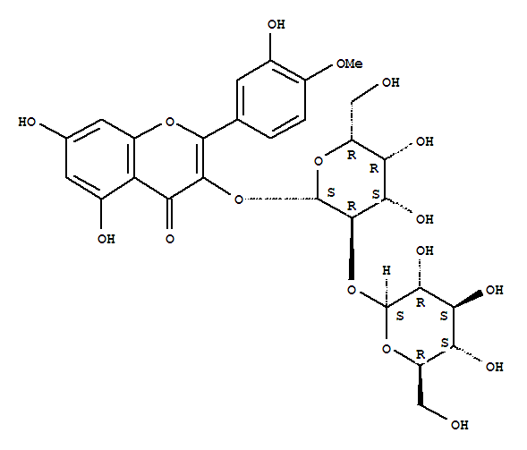 Click to see the large picture