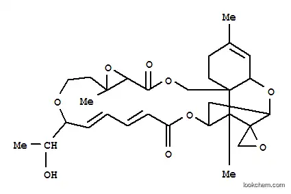 로리딘