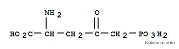 2- 아미노 -4- 옥소 -5- 포스 포노 펜 탄산