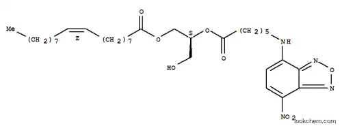 1-올레오일-2-헥사노일-NBD-글리세롤