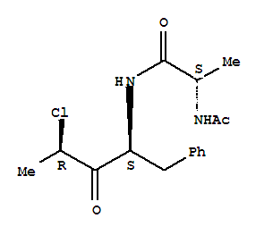 Click to see the large picture