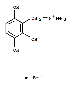 Click to see the large picture