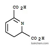 2,3-디히드로피리딘-2,6-디카르복실산