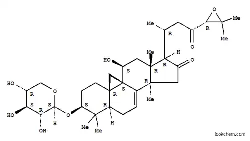 시미시푸고사이드 H-1