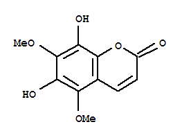 Click to see the large picture