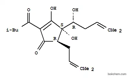 RHO-イソフムロンA1