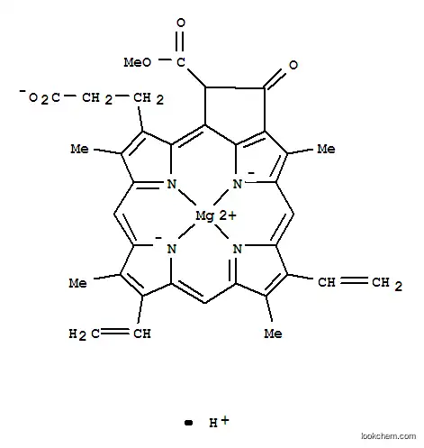 2,4-디비닐프로토클로로필리드
