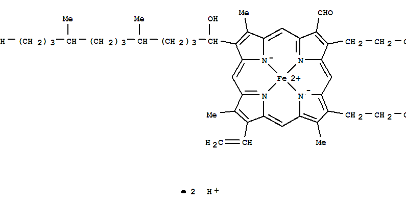 Click to see the large picture