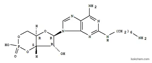 2-(6-아미노헥실) 아미노아데노신-3',5'-고리 모노포스페이트
