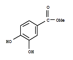Methyl3,4-dihydroxybenzoate
