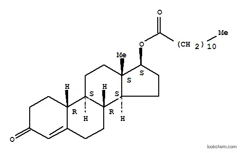 ラウラボリンV